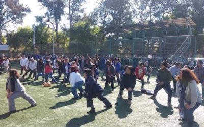 IST junto a Municipalidad de Santo Domingo en campaña de Pausas Activas