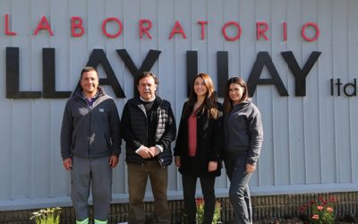 IST participó en exposición shotcrete del Laboratorio Llay Llay