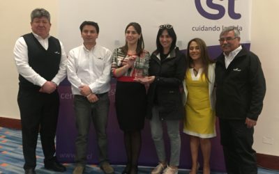 Distinción Anual en Prevención 2018 – Punta Arenas