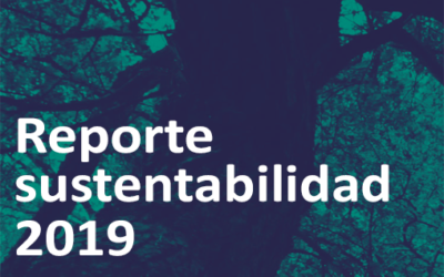 Reporte Sustentabilidad 2019