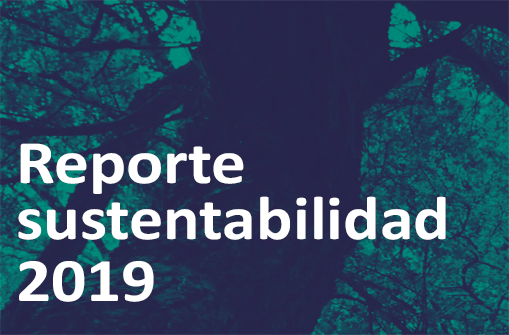 Reporte Sustentabilidad 2019